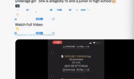 性视频网站,内容监管与用户隐私的双重挑战